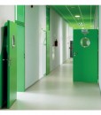 Двери оксидно-зеленого цвета RAL 6029 CPL модель 1.1