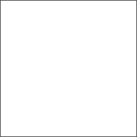 Колір Білий Дуб (RAL 9016)